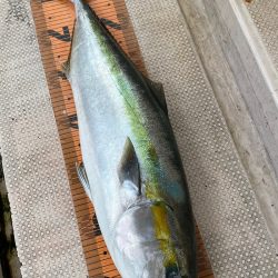 釣人家 釣果
