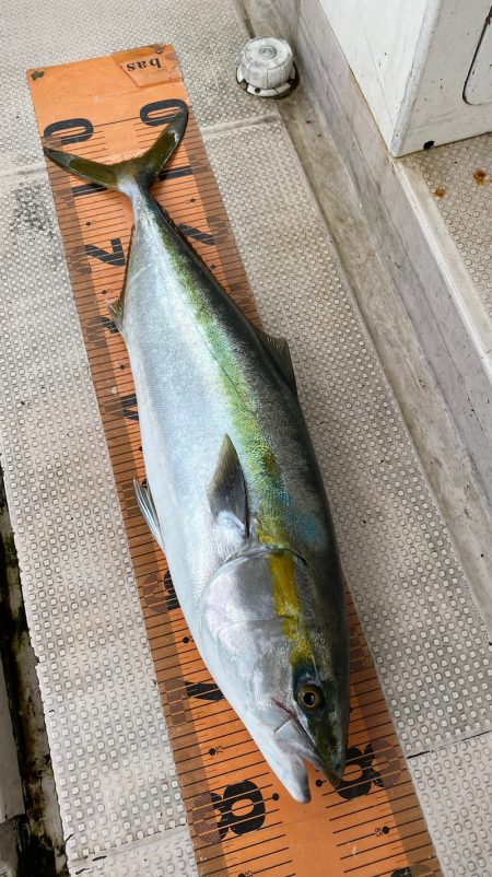 釣人家 釣果