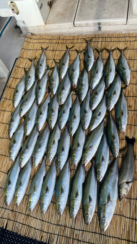 釣人家 釣果