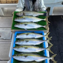 釣人家 釣果