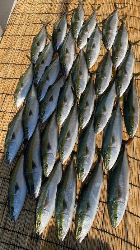 釣人家 釣果
