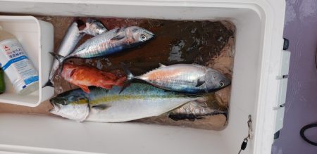 海龍丸（石川） 釣果