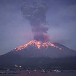 龍神丸（鹿児島） 釣果