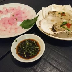 チャモロ 釣果