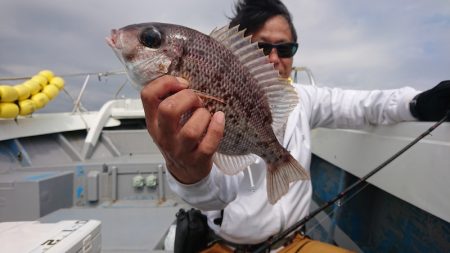 だて丸 釣果