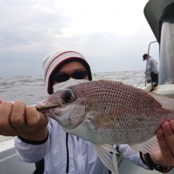 だて丸 釣果