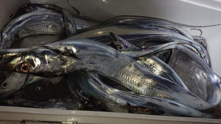 シースナイパー海龍 釣果