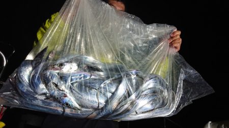 シースナイパー海龍 釣果