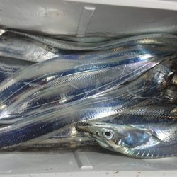 シースナイパー海龍 釣果