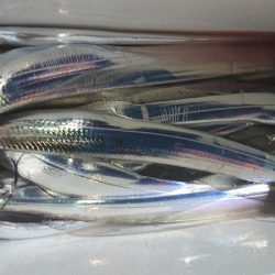 シースナイパー海龍 釣果