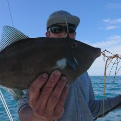 遊漁船 家入 釣果