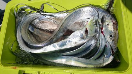 シースナイパー海龍 釣果