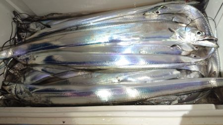 シースナイパー海龍 釣果