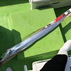 金沢八景鴨下丸 釣果