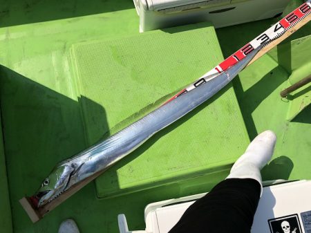 金沢八景鴨下丸 釣果