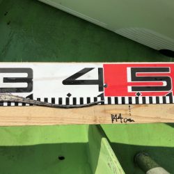 金沢八景鴨下丸 釣果