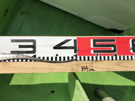 金沢八景鴨下丸 釣果