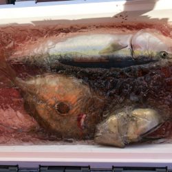 海龍丸(石川) 釣果