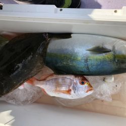 海龍丸(石川) 釣果