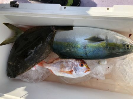 海龍丸(石川) 釣果