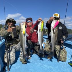 アマテラス 釣果