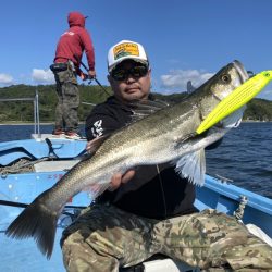 アマテラス 釣果