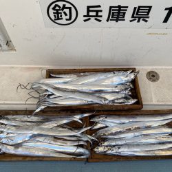 岡田釣船 八英丸 釣果