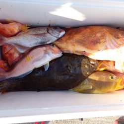 第二龍勢丸 釣果