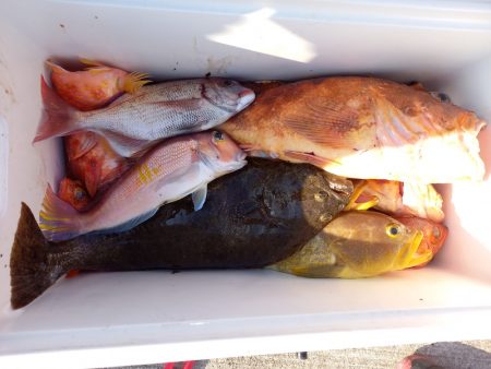 第二龍勢丸 釣果