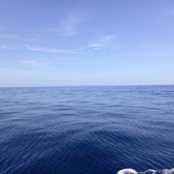 第二龍勢丸 釣果