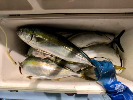 第二八坂丸 釣果