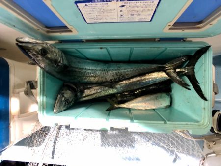 第二八坂丸 釣果