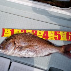 アマテラス 釣果