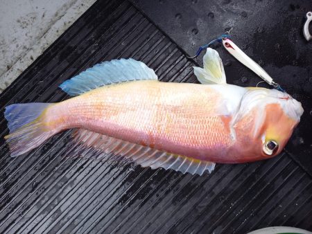 第二龍勢丸 釣果