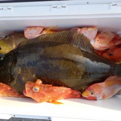 第二龍勢丸 釣果