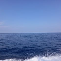 第二龍勢丸 釣果