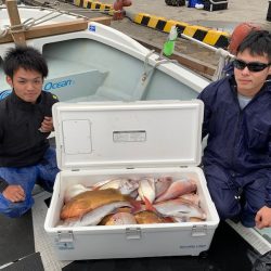 さくら丸 釣果