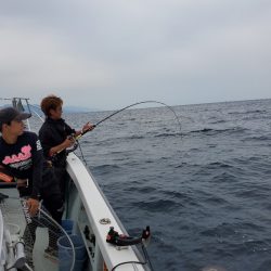 シーライオン 釣果