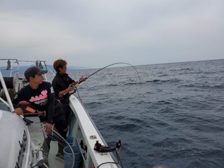 シーライオン 釣果