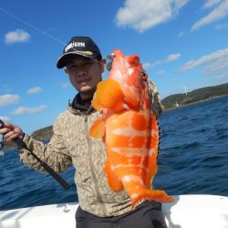 きずなまりん 釣果