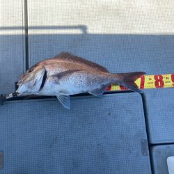 遊漁船高橋 釣果