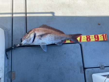 遊漁船高橋 釣果