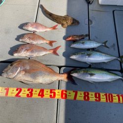 遊漁船高橋 釣果