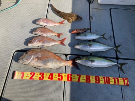 遊漁船高橋 釣果