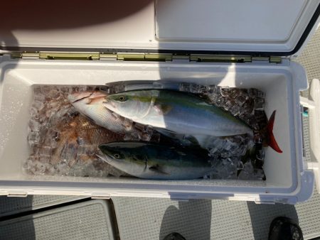 遊漁船高橋 釣果