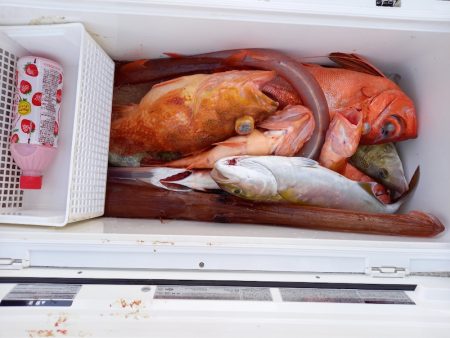 第二龍勢丸 釣果