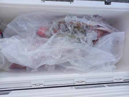 第二龍勢丸 釣果