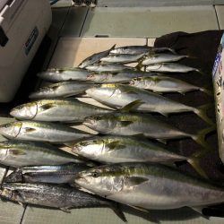 エムズジャーク(M’s JERK) 釣果