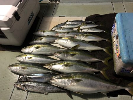 エムズジャーク(M’s JERK) 釣果