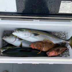 遊漁船高橋 釣果